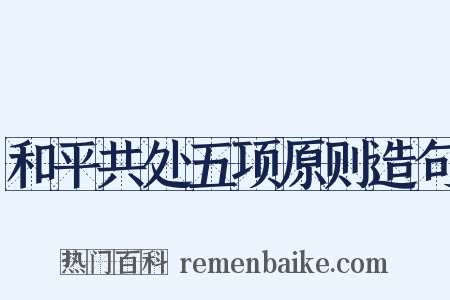 和平共处五项原则造句是什么意思的图片